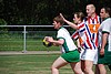 DSC_6298.JPG